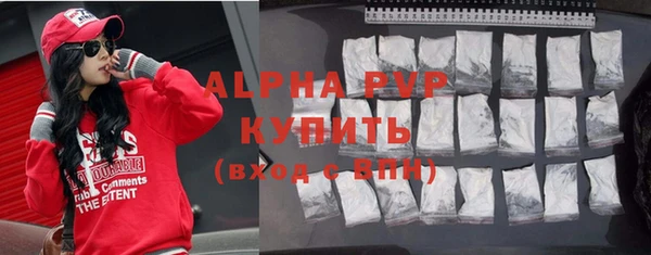стафф Богданович