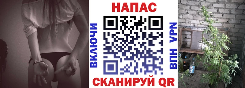 Бошки марихуана планчик  Верхотурье 